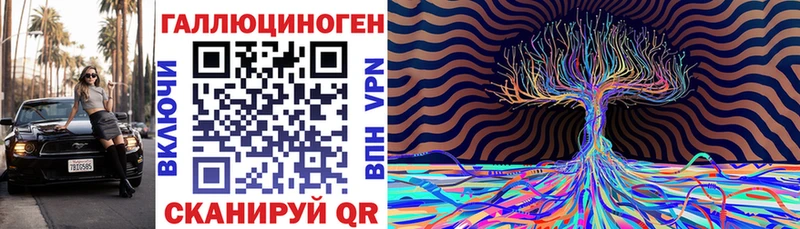 Купить  Михайлов  Псилоцибиновые грибы GOLDEN TEACHER 